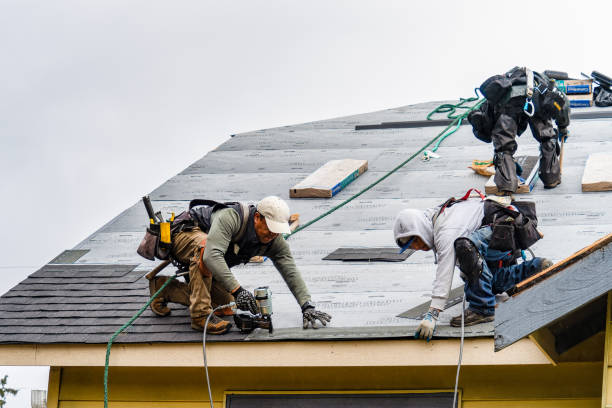 Professional Gutter Installation technician working in Arcola, IL